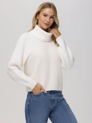 Mckenzie: Mixed Media Removable Collar Sweater