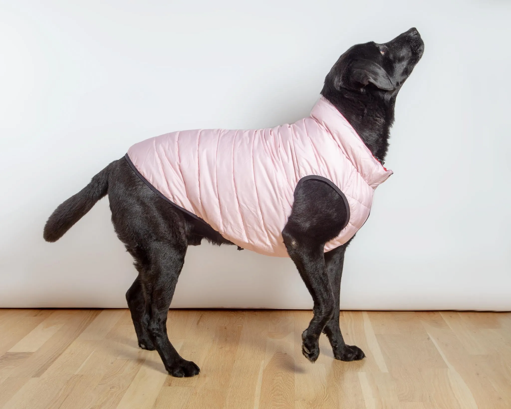 Reversible AiryVest in Strawberry   Blush (DOG & CO. Exclusive) (FINAL SALE)